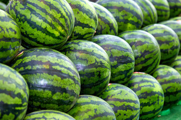 Fresh watermelon on the market shelves.