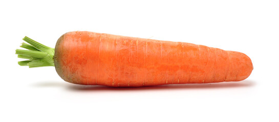 Fresh carrot on a white background