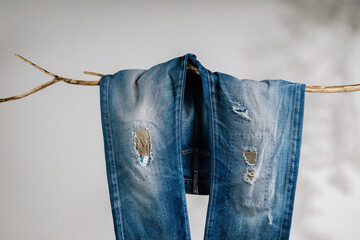 Jeans, Fashion, Fix or DIY Cloth Concept. Jeans Pant Hanging on Dried Tree Branch. Shadow shading on the White Wall. Patch Work Style - Powered by Adobe