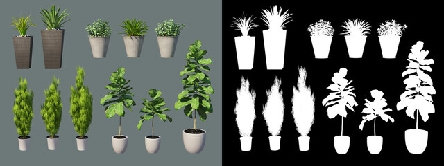 Various types of decorative plants and potted plants
