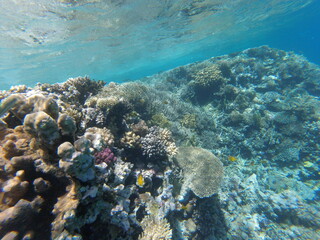 Fototapeta na wymiar Unter Wasser