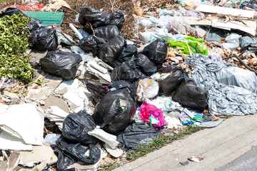 Pile of domestic garbage. garbage dump with lot of plastic bag and bottles and other waste. A lot of garbage in the street.	