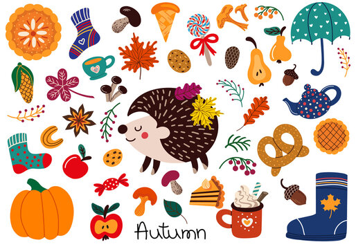 Set of various autumnal symbols vector design