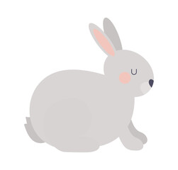Fototapeta na wymiar cute gray rabbit