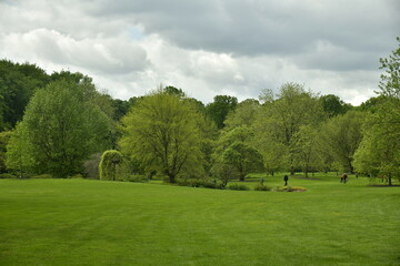 Fototapeta na wymiar La grande pelouse sous un ciel changeant à l'arboretum de Wespelaar 
