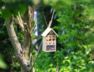 Insektenhotel
