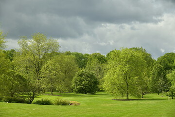 Ciel menaçant au dessus de la végétation luxuriante de l'arboretum de Wespelaar en Brabant Flamand 