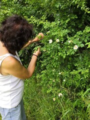 Observations botanique 