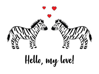Romantic couple of zebras on a white background. Zebra enamored black and white graphic illustration. Can be used for Valentine's Day cards.