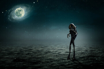 Obraz premium like an alien in the desert on a full moon night