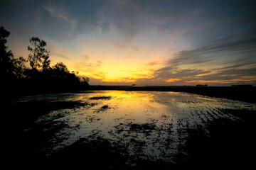 atardecer 
