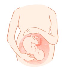妊娠　胎児　胎動　新生児　出産