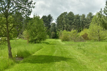 Fototapeta na wymiar Chemin en gazon tondu à raz traversant les zones boisées de l'arboretum de Wespelaar au Brabant Flamand 