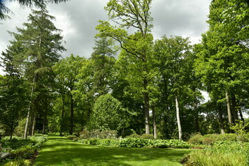 Ombre et lumière sur la nature luxuriante sous un ciel gris à l'arboretum de Wespelaar 