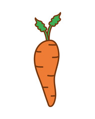 fresh carrot design