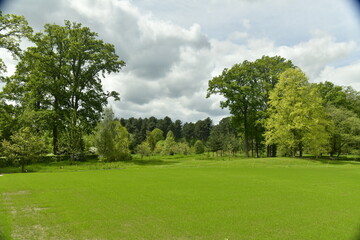 Nuages gris et parfois sombres contrastant avec la beauté verte des feuillage des arbres et pelouses de l'arboretum de Wespelaar en Brabant Flamand 