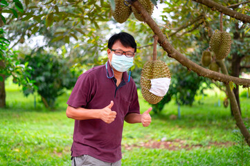 Naklejka na ściany i meble Man wearing mask in orchard prevent corona virus.Durian wearing mask,idea healthcare concept.