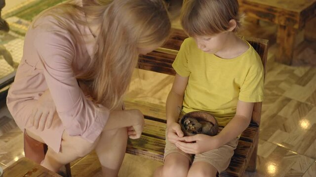 A woman and her little son visit a cafe with animals. Cafe where you can contact animals. A boy holds a nest with two sleepy flying squirrels