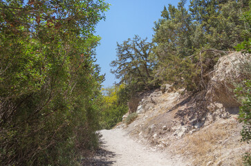 Hiking trail in Avakas Gorge. Akamas peninsula, Cyprus.