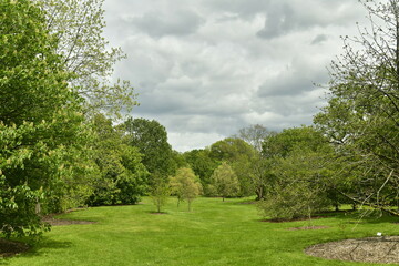 Fototapeta na wymiar Nuages gris et parfois sombres contrastant avec la beauté verte des feuillage des arbres et pelouses de l'arboretum de Wespelaar en Brabant Flamand 