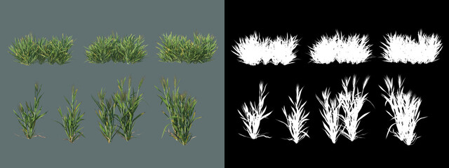 Obraz premium A wide variety of crops and trees 