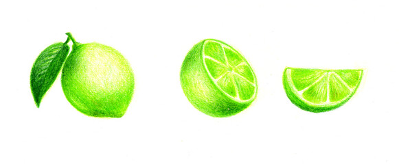 The Lime drawing is made with colored pencils