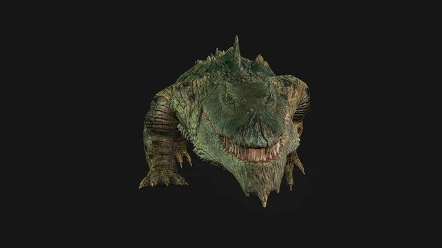Crocodille Walk, Front View Seamless Loop, Alpha Channel