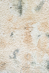 Textured background plaster wall. Abstract backdrop in pastel colors.