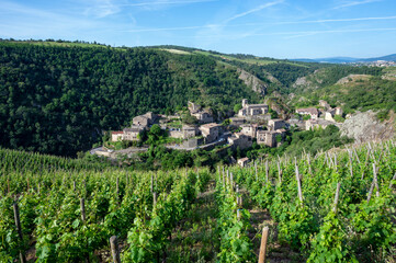 Fototapeta na wymiar Le village médiéval de Malleval dans les coteaux des Côtes-du-Rhône dans le département de la Loire en France