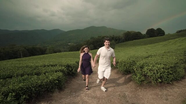 beautiful couple kissing and posing against the background of tea plantations 