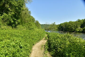 Chemin étroit de randonnée traversant un champs d'orties le long de l'Ourthe en aval d'Esneux au sud de Liège