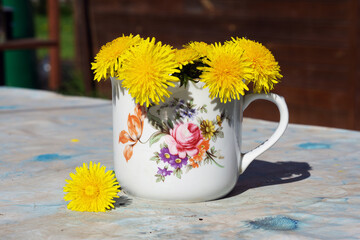 Bouquet of yellow dandelions in a decorative white cup on a sunny day. Bright summer rustic image. 