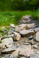 Scenic cycle or walking route along a countryside path