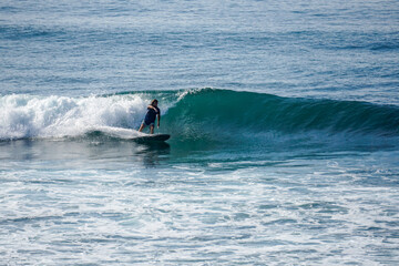 Fototapeta premium Surfer on perfect blue aquamarine wave, empty line up, perfect for surfing, clean water, Indian Ocean close to Mirissa