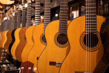 Classic acoustic guitars for sale in music shop.