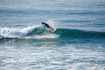 Fototapeta premium Surfer on perfect blue aquamarine wave, empty line up, perfect for surfing, clean water, Indian Ocean close to Mirissa