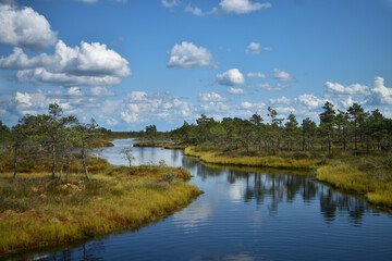 Fototapeta na wymiar A swamp pond reflection