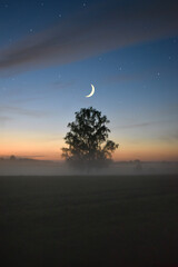Fototapeta premium Moon in the sky over a foggy field