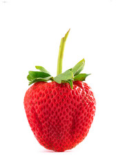 Fresh Strawberry isolated on white background