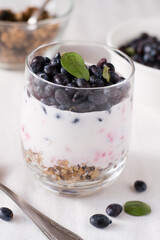 Fruit dessert. Yogurt with honeysuckle and muesli