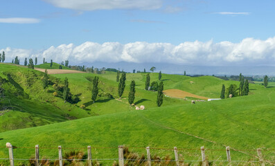Fototapeta na wymiar Waikato region in New Zealand