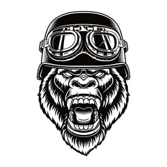 Vector illustration of a gorilla biker