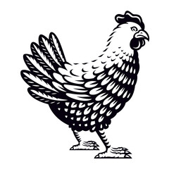 a black and white vector illustration of a chicken