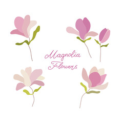 Magnolia on a white background. Flower graphic design.