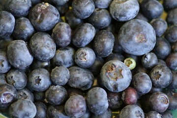 Nahaufnahme Blaubeeren