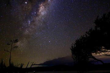 Fototapeta na wymiar 街明かりに照らされ黄色く光る薄雲と半島の上にかかる天の川【ニュージーランド】