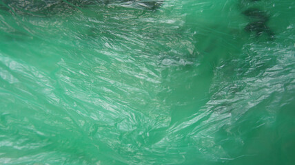 Plastic bags green color. International plastic bag free day. Say no to plastic. Go green. Save nature. Save ocean. World ocean day. Company against plastic bags.