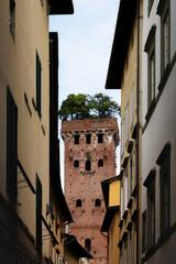 Guinigi tower, medieval building in the historic town center of Lucca (Tuscany, Italy). The tower is a famous landmark known for its top, covered with a garden of holly oak trees - obrazy, fototapety, plakaty