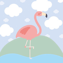 pretty pink flamingo