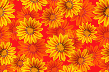 Seamless pattern with yellow flowers on a white background.